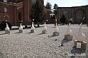 VBS_7624 - Mostra della Ceramica di Castellamonte 2021